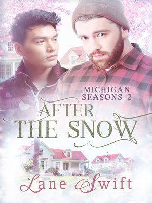 After the Snow - ebook